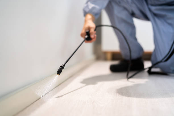 Best Best Pest Control Companies  in Newington Forest, VA