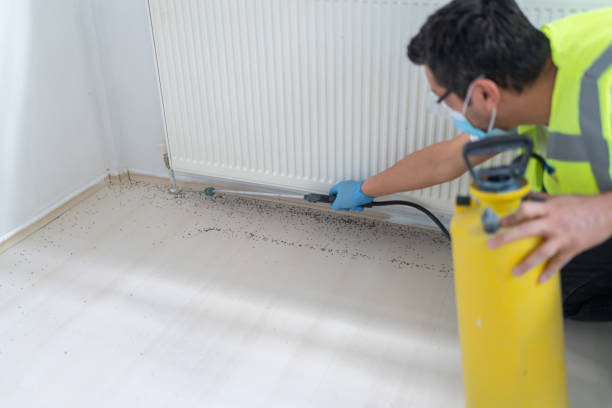 Flea Control Services in Newington Forest, VA
